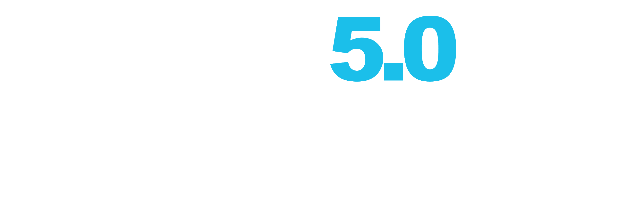 Bridges 5.0 Logo