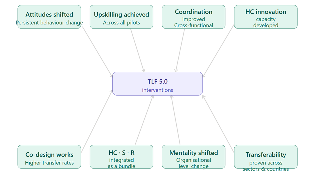 TLF 5.0 interventions in the center with eight driver boxes around it (Attitudes shifted, Upskilling achieved, Coordination, HC innovation, Co-design works, HC-S-R integrated as a bundle, Mentality shifted, Transferability) connected by arrows to the central node.